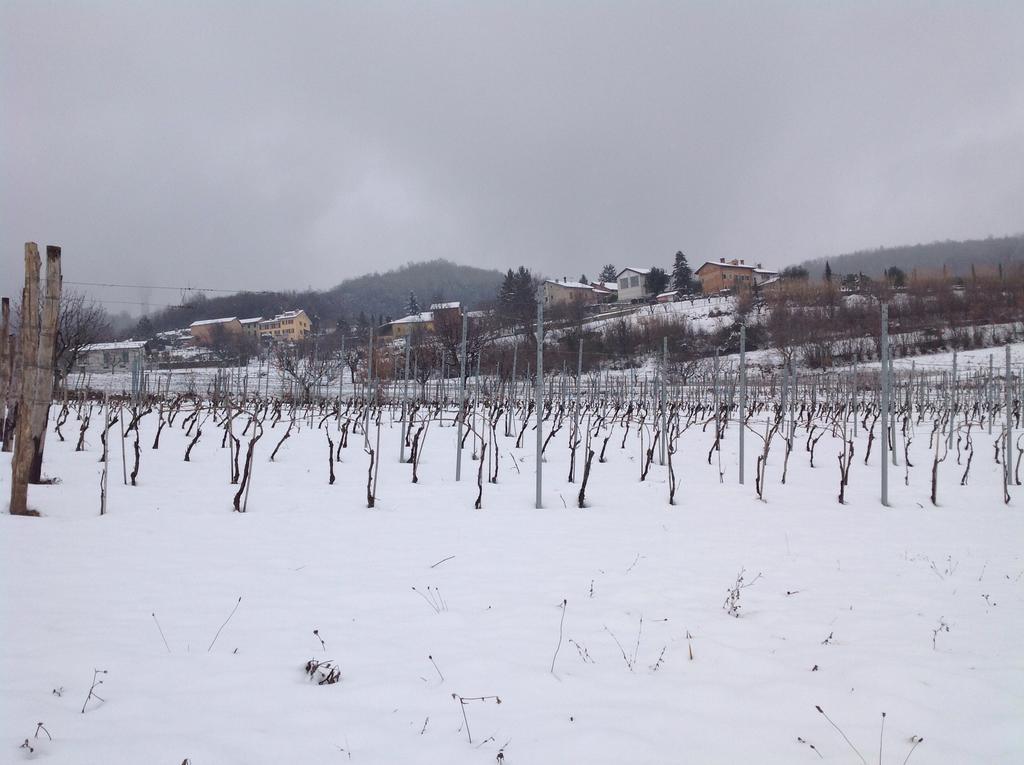 Azienda Agricola Garoglio Davide Альфьяно-Натта Экстерьер фото